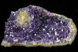Dark Purple Amethyst Cluster - Uruguay #76863-1